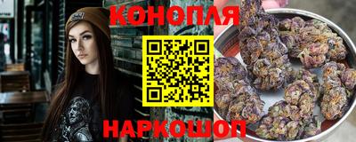 шишки Нарткала