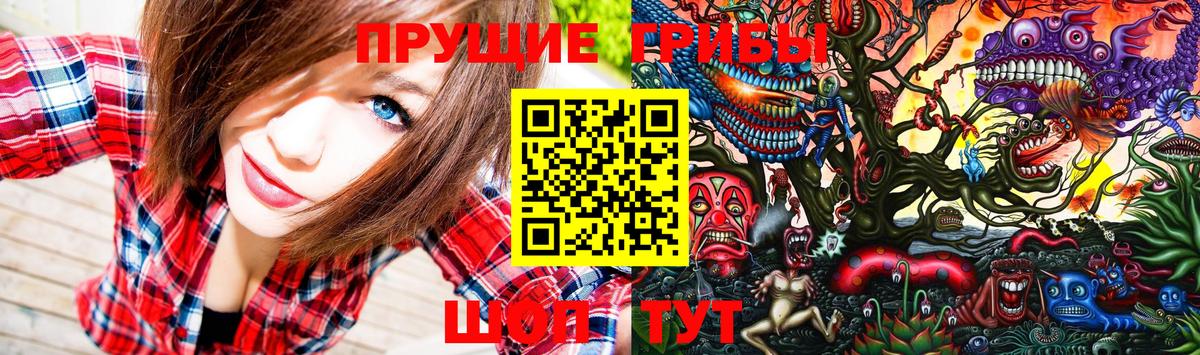 Дюртюли  Галлюциногенные грибы мицелий  Вход с VPN  Псилоцибиновые грибы GOLDEN TEACHER 