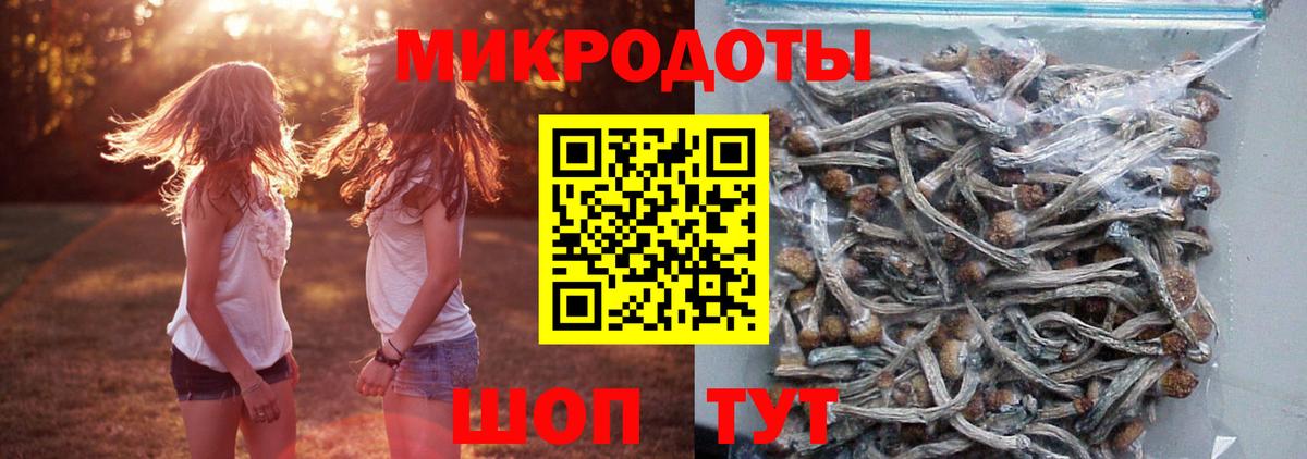 Псилоцибиновые грибы мицелий Дюртюли